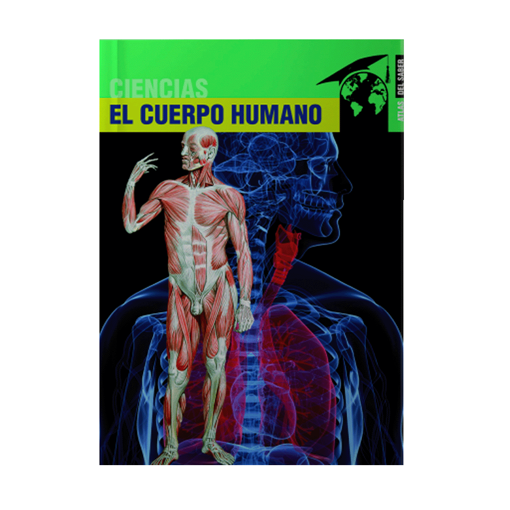 ANATOMIA HUMANA