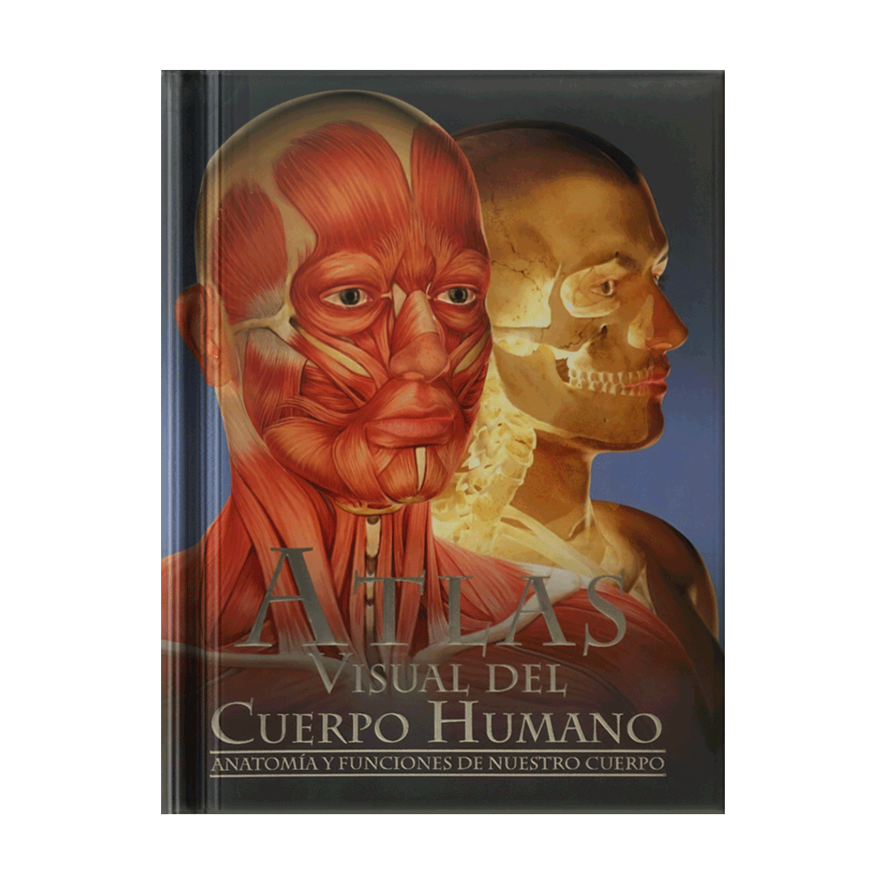 CUERPO HUMANO