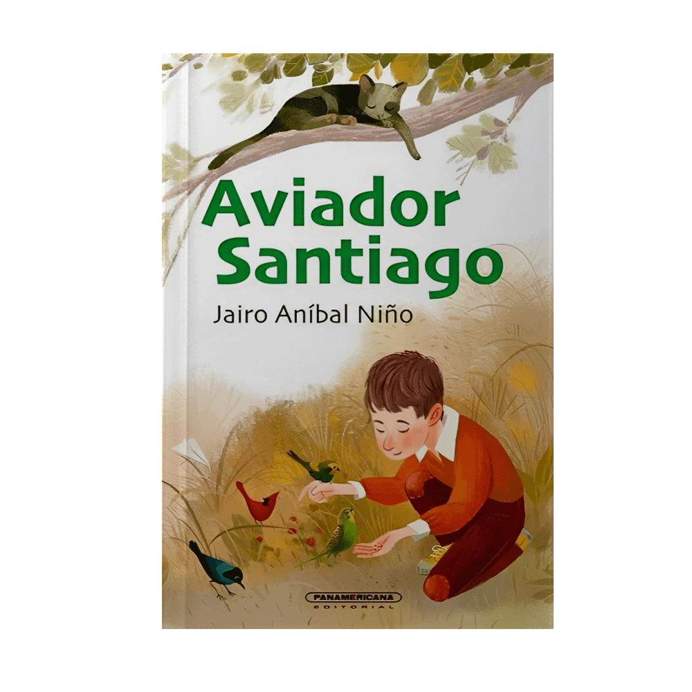 AVIADOR SANTIAGO