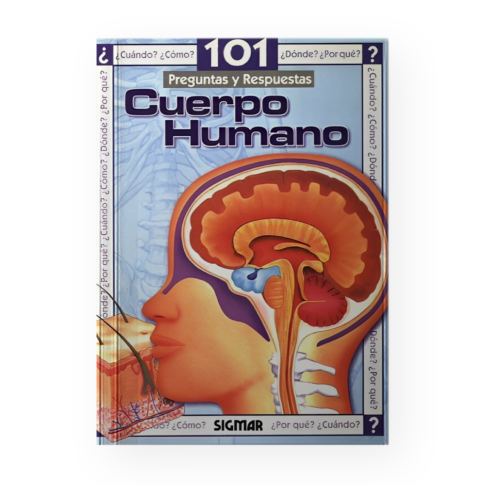 CUERPO HUMANO