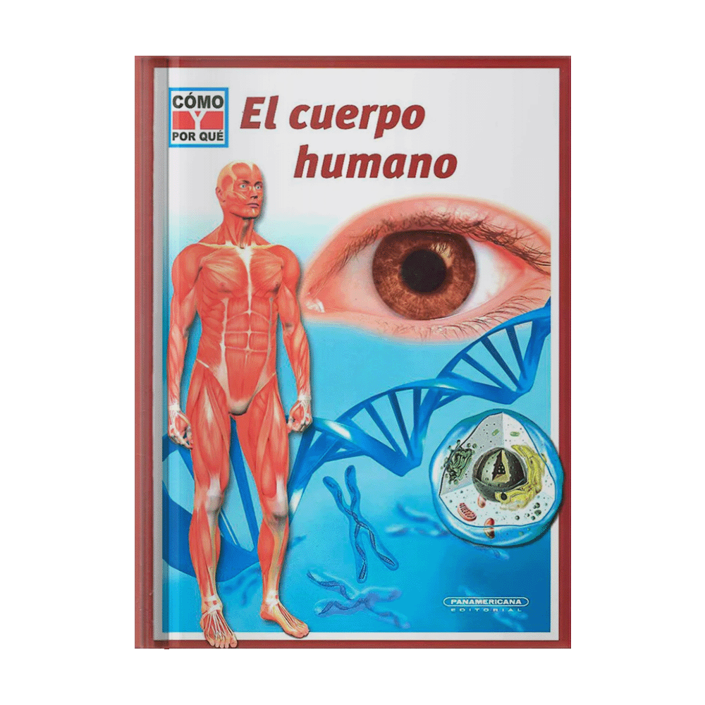 CUERPO HUMANO, EL