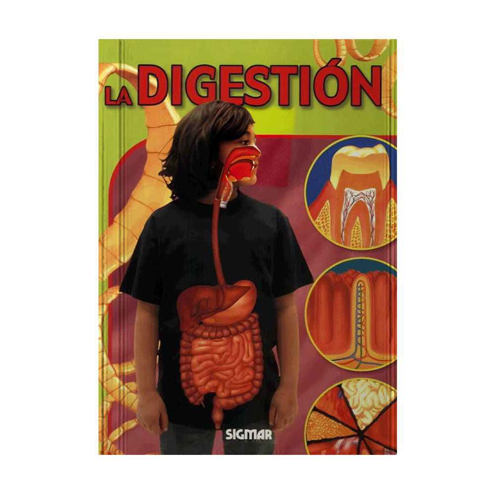 DIGESTION, LA