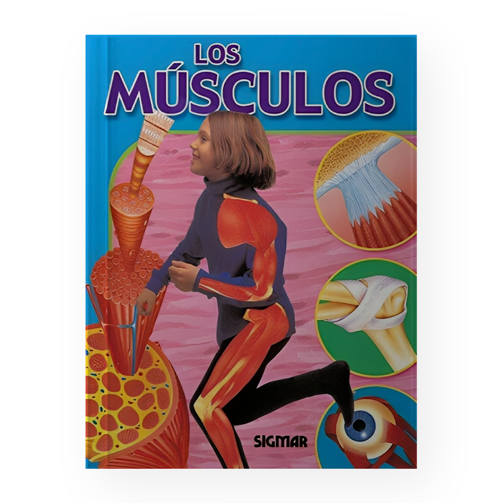 MUSCULOS, LOS