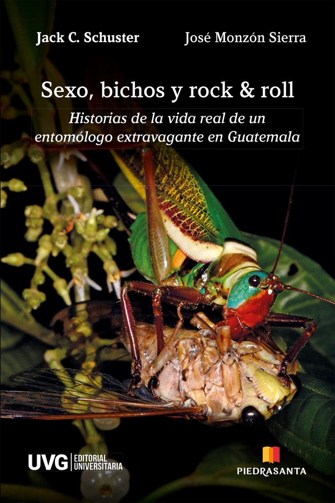 SEXO, BICHOS Y ROCK AND ROLL