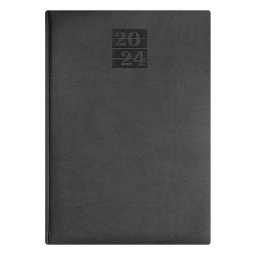 AGENDA DIARIA RIVOLI CANTO PLATEADO 2024 (GRIS) | FAST