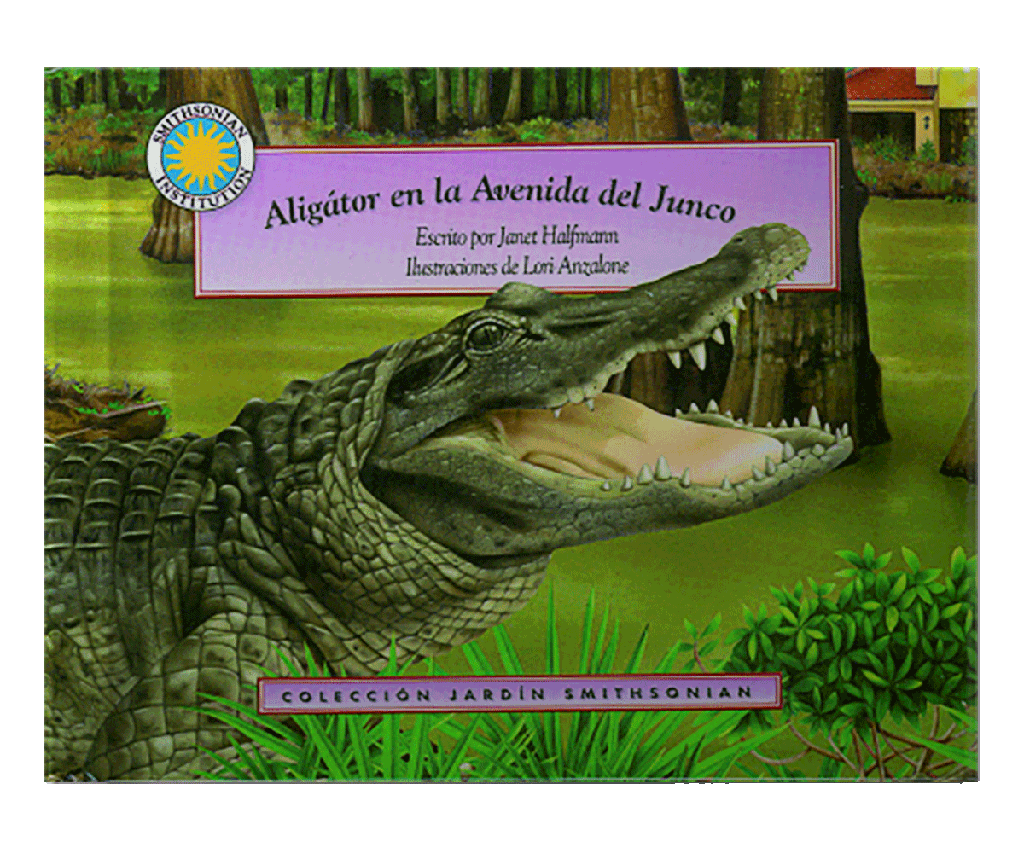 [ULTIMA EDICION] ALIGATOR EN LA AVENIDA DEL JUNCO | PANAMERICANA