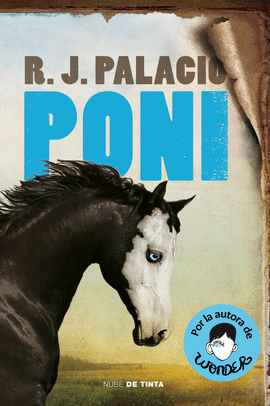 PONI | NUBE DE TINTA